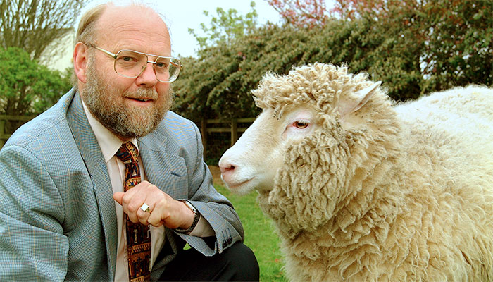 Ian Wilmut, biólogo do Instituto Roslin (Escócia), e a ovelha Dolly, primeiro clone bem-sucedido de um mamífero - Foto: divulgação